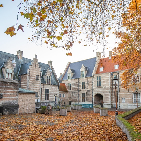 woningen in bladergebied